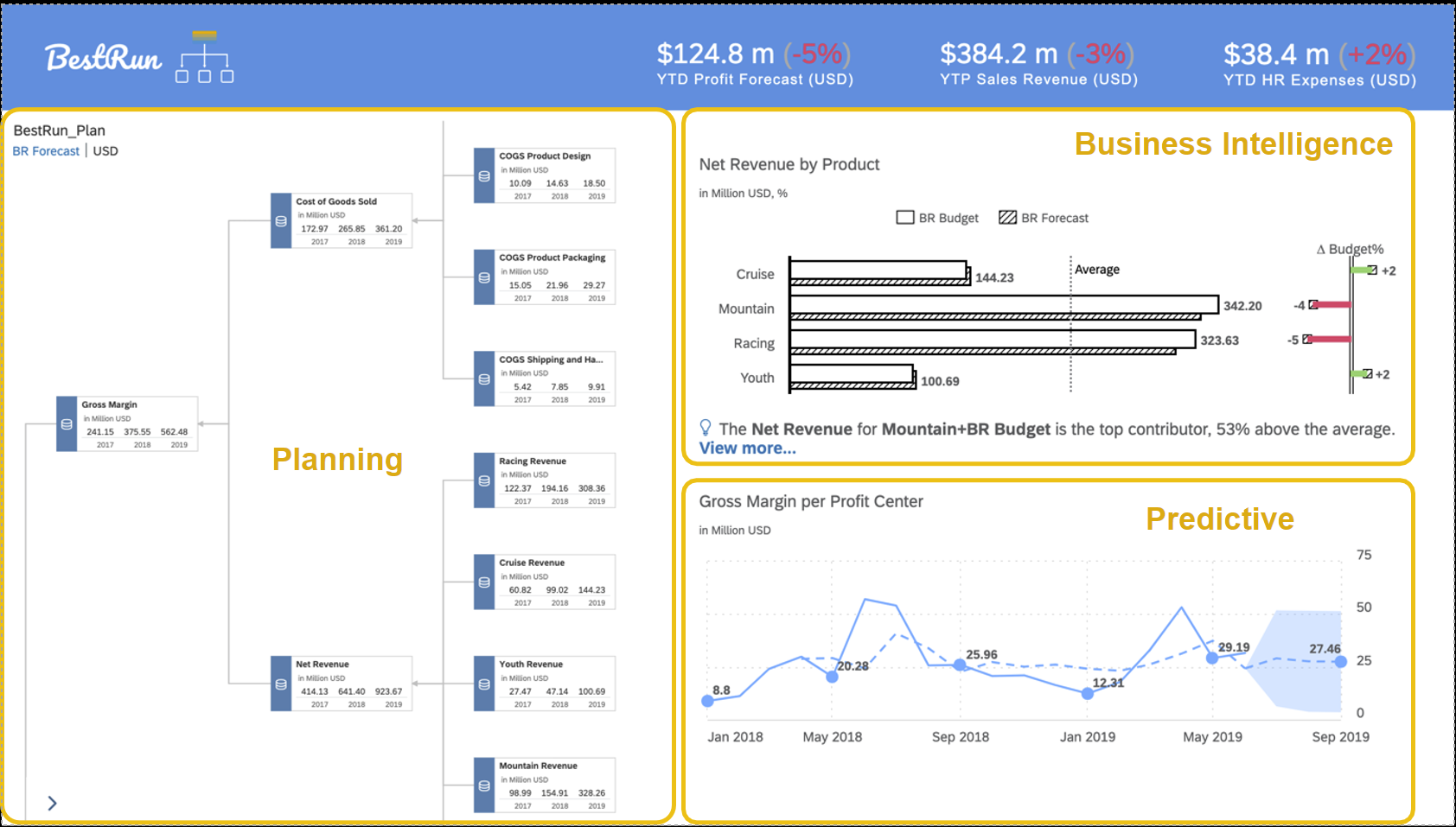SAP BI & Analytics